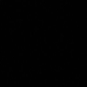 Meet your Posher, Bailey